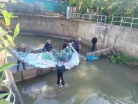 ดับเพลิงแม่สอด ออกตัดแต่งต้นไม้ภายในวัดมณีไพรสณฑ์ เพื่อเรียมงานลอยกระทง