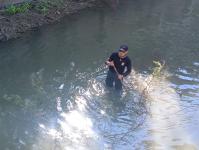 ดับเพลิงแม่สอด ออกตัดแต่งต้นไม้ภายในวัดมณีไพรสณฑ์ เพื่อเรียมงานลอยกระทง