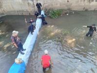 ดับเพลิงแม่สอด ออกตัดแต่งต้นไม้ภายในวัดมณีไพรสณฑ์ เพื่อเรียมงานลอยกระทง