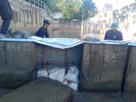 ดับเพลิงแม่สอด ออกตัดแต่งต้นไม้ภายในวัดมณีไพรสณฑ์ เพื่อเรียมงานลอยกระทง