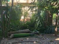 ดับเพลิงแม่สอด ออกตัดแต่งต้นไม้ภายในวัดมณีไพรสณฑ์ เพื่อเรียมงานลอยกระทง