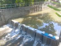 ดับเพลิงแม่สอด ออกตัดแต่งต้นไม้ภายในวัดมณีไพรสณฑ์ เพื่อเรียมงานลอยกระทง