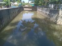 ดับเพลิงแม่สอด ออกตัดแต่งต้นไม้ภายในวัดมณีไพรสณฑ์ เพื่อเรียมงานลอยกระทง