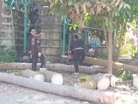 ดับเพลิงแม่สอด ออกตัดแต่งต้นไม้ภายในวัดมณีไพรสณฑ์ เพื่อเรียมงานลอยกระทง