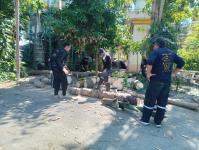 ดับเพลิงแม่สอด ออกตัดแต่งต้นไม้ภายในวัดมณีไพรสณฑ์ เพื่อเรียมงานลอยกระทง