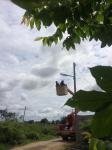 งานไฟฟ้าฯ ได้ออกปฏิบัติหน้าที่ซ่อมแซมไฟฟ้าส่องสว่างถนนสาธารณะในเขตชุมชนต่าง ๆ