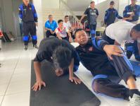 สอบตำแหน่งพนักงานดับเพลิง เทศบาลนครแม่สอด ประจำปี 2566