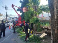 ตามที่กองช่างสุขาภิบาล ได้ออกปฏิบัติงานตามคำร้องทั่วไป เป็นจำนวน 3 แห่ง ดังนี้             