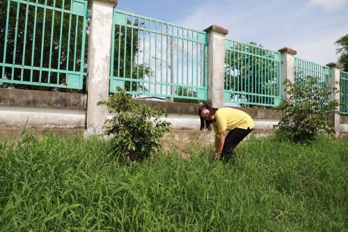 กองยุทธศาสตร์และงบประมาณ ร่วมกิจกรรมวันต้นไม้ประจำปีของชาติ พ.ศ.2567 