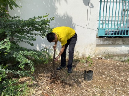 กองยุทธศาสตร์และงบประมาณ ร่วมกิจกรรมวันต้นไม้ประจำปีของชาติ พ.ศ.2567 