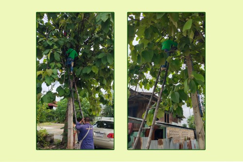 เจ้าหน้าที่กองยุทธศาสตร์และงบประมาณ ดำเนินการตามคำร้องขอซ่อมแซมเคเบิ้ลทีวี