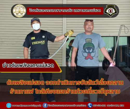 ดับเพลิงนครแม่สอด ดำเนินการจับสัตว์เลื้อยคลาน (งู) บริเวณร้านกาแฟใกล้เคียงร้านก๋วยเตี๋ยวเจ๊กุหลาบ