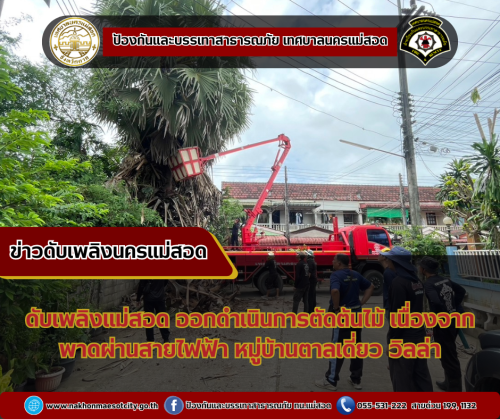 ดับเพลิงนครแม่สอด ออกดำเนินการตัดต้นไม้ เนื่องจากพาดผ่านสายไฟฟ้า บริเวณหมู่บ้านตาลเดี่ยว วิลล่า