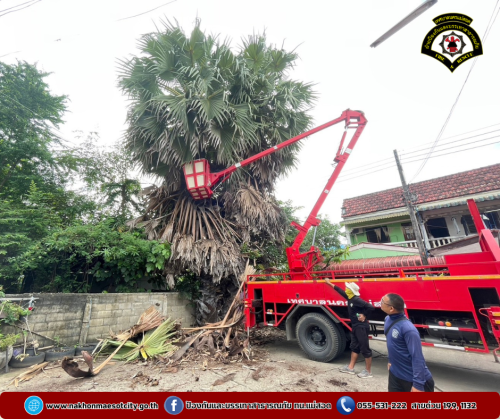 ดับเพลิงนครแม่สอด ออกดำเนินการตัดต้นไม้ เนื่องจากพาดผ่านสายไฟฟ้า บริเวณหมู่บ้านตาลเดี่ยว วิลล่า