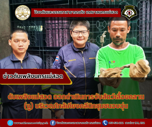 ดับเพลิงนครแม่สอด ออกด่าเนินการจับสัตว์เลื้อยคลาน (งู) บริเวณใกล้เคียงคลีนิกชุมชนอบอุ่น