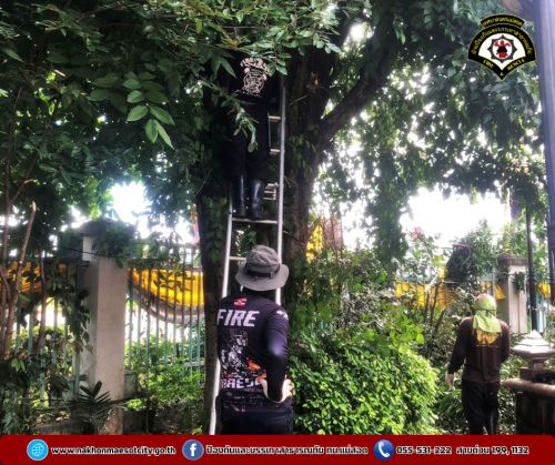 ดับเพลิงนครแม่สอด ออกดำเนินการตัดแต่งกิ่งไม้ เนื่องจากบดบังทัศนวิสัย บริเวณสำนักงานเทศบาลนครแม่สอด