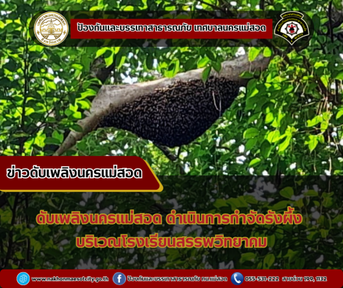 ดับเพลิงนครแม่สอด ดำเนินการกำจัดรังผึ้ง บริเวณโรงเรียนเทศบาลวัดดอนแก้ว