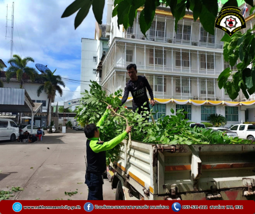 ดับเพลิงนครแม่สอด ออกดำเนินการตัดแต่งกิ่งไม้ บริเวณสำนักงานเทศบาลนครแม่สอด