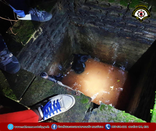 ดับเพลิงนครแม่สอด ออกดำเนินการช่วยเหลือสุนัขตกท่อระบายน้ำ ใกล้เคียงวัดแม่ชอดน่าด่าน