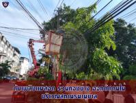 ดับเพลิงเเม่สอด ออกตัดต้นไม้ร่วมกองช่าง บริเวณศาลเจ้าจีนเเละสถานธนานุบาล เทศบาลนครเเม่สอด