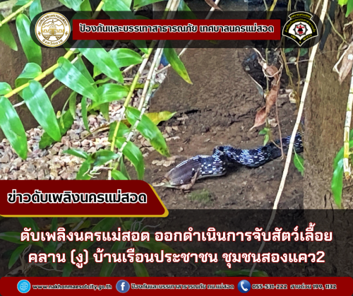 ดับพลิงนครแม่สอด ออกดำเนินการจับสัตว์เลื้อยคลาน (งู) บ้านเรือนประชาชน ชุมชนสองแคว2