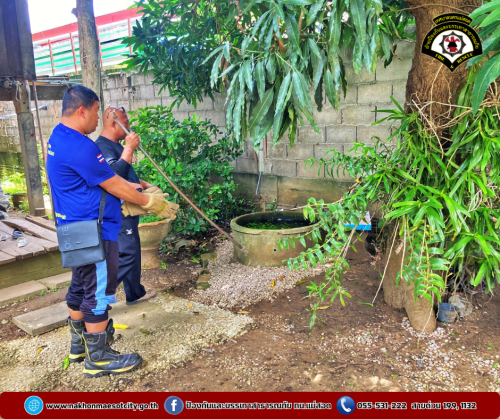 ดับพลิงนครแม่สอด ออกดำเนินการจับสัตว์เลื้อยคลาน (งู) บ้านเรือนประชาชน ชุมชนสองแคว2