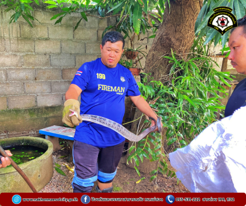 ดับพลิงนครแม่สอด ออกดำเนินการจับสัตว์เลื้อยคลาน (งู) บ้านเรือนประชาชน ชุมชนสองแคว2
