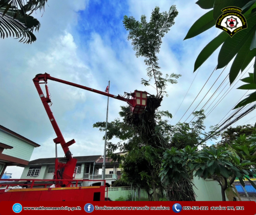 ดับเพลิงนครแม่สอด ออกดำเนินการตัดแต่งต้นไม้ ณ สำนักงานสรรพสามิตตาก สาขาแม่สอด