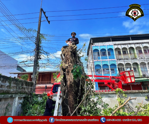 ดับเพลิงนครแม่สอด ออกดำเนินการตัดต้นไม้พาดผ่านสายไฟฟ้า บริเวณบ้านพักสำนักงานสรรพากร สาขาแม่สอด