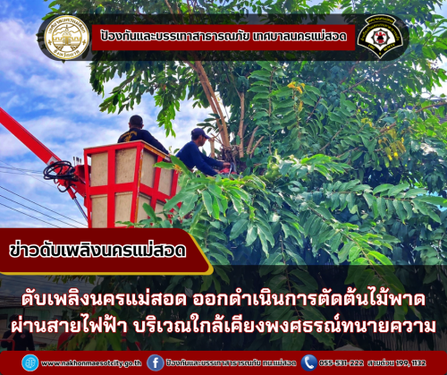 ดับเพลิงนครแม่สอด ออกดำเนินการตัดต้นไม้พาดผ่านสายไฟฟ้า บริเวณใกล้เคียงพงศธรณ์ ทนายความ