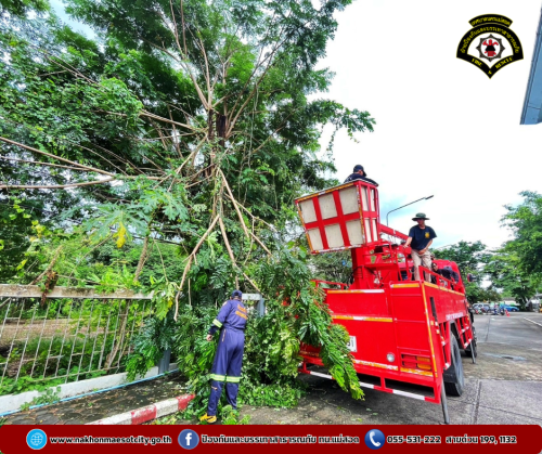 ดับเพลิงนครแม่สอด ออกดำเนินการตัดต้นไม้ เนื่องจากกิ่งไม้หักโค่น บริเวณศาลจังหวัดแม่สอด