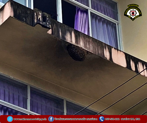 ดับเพลิงนครแม่สอด ดำเนินการกำจัดรังผึ้ง บริเวณโรงเรียนเทศบาลเฉลิมพระเกียรติสมเด็จพระเทพรัตนราชสุดาฯ 