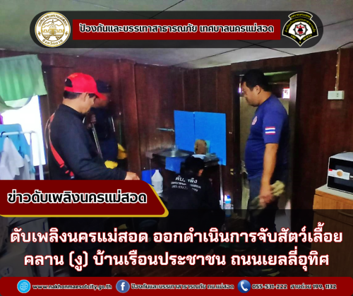  ดับเพลิงนครแม่สอด ออกดำเนินการจับสัตว์เลื้อยคลาน (งู) บ้านเรือนประชาชน ถนนเยลลี่อุทิศ