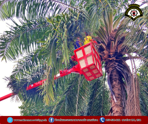 ดับเพลิงนครแม่สอด ออกดำเนินการตัดต้นไม้สูงบดบังทัศนวิสัย บริเวณซอย 7 ชุมชนรังแร้ง