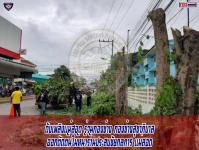 ดับเพลิงแม่สอด ออกตัดต้นไม้หน้าร้านประสบชัยกลการ สาขาเเม่สอด