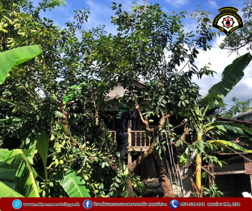 ดับเพลิงนครแม่สอด ดำเนินการตัดต้นไม้โค่นล้ม ทับบ้านเรือนประชาชน บริเวณชุมชนอิสลาม