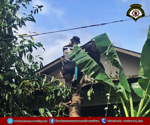 ดับเพลิงนครแม่สอด ดำเนินการตัดต้นไม้โค่นล้ม ทับบ้านเรือนประชาชน บริเวณชุมชนอิสลาม