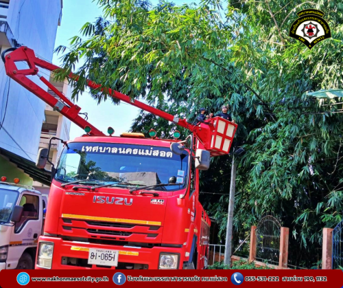 ดับเพลิงนครแม่สอด ออกดำเนินการตัดต้นไม้พาดผ่านสายไฟฟ้า บริเวณโรงเรียนเฉลิมพระเกียรติฯ (ท.5)