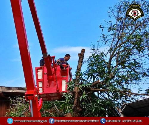 ดับเพลิงนครแม่สอด ออกดำเนินการตัดต้นไม้พาดผ่านสายสื่อสาร บริเวณใกล้เคียงร้านอี้เหวิน ถนนประสาทวิถี