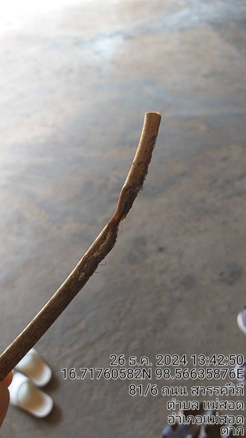 เจ้าหน้าที่กองยุทธศาสตร์และงบประมาณ ดำเนินการตามคำร้องขอติดตั้ง และซ่อมแซมเคเบิ้ลทีวี เพื่อการศึกษาเทศบาลนครแม่สอด