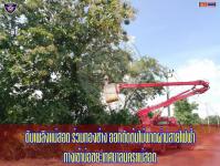 ดับเพลิงเเม่สอด ออกตัดต้นไม้พาดผ่านสายไฟฟ้าทางเข้าบ่อขยะเทศบาลนครแม่สอด