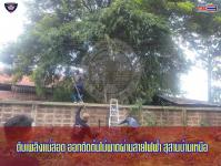 ดับเพลิงเเม่สอด ออกตัดต้นไผ่พาดผ่านสายไฟฟ้า สุสานบ้านเหนือ