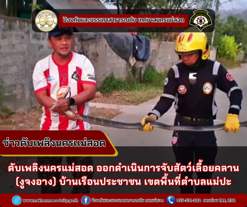 ดับเพลิงนครแม่สอด ออกดำเนินการจับสัตว์เลื้อยคลาน (งูจงอาง) บ้านเรือนประชาชน เขตพื้นที่ตำบลแม่ปะ