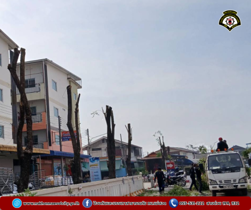 ดับเพลิงนครแม่สอด ออกดำเนินการตัดต้นไม้ บังทัศนวิสัย บริเวณหน้าโรงพยาบาลแม่สอด-ราม