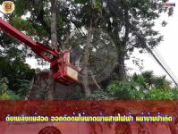 ดับเพลิงเเม่สอด ออกตัดต้นไม้พาดผ่านสายไฟฟ้า หน้าบ้านป้าเกิด