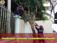 ดับเพลิงเเม่สอด ออกตัดต้นไม้โรงเรียนเทศบาลวัดมณีไพรสณฑ์