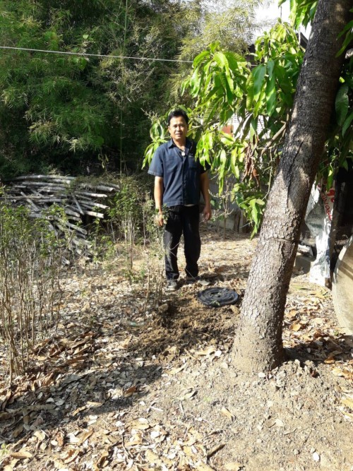 RE-X-RAY โครงการถังขยะเปียกลดโลกร้อน