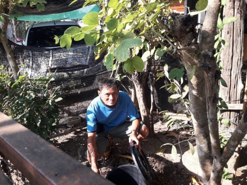 RE-X-RAY โครงการถังขยะเปียกลดโลกร้อน