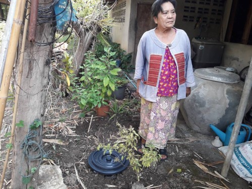 RE-X-RAY โครงการถังขยะเปียกลดโลกร้อน