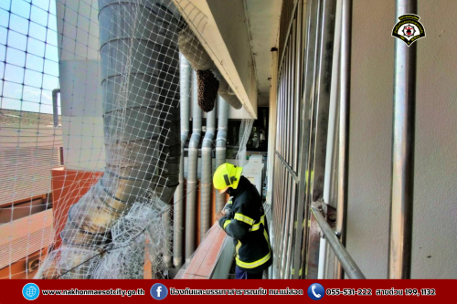 ดับเพลิงนครแม่สอด ออกดำเนินการกำจัดรังผึ้งหลวง บริเวณตึกสิรินธรชัยพัฒน์ (แม่สอด) โรงพยาบาลแม่สอด